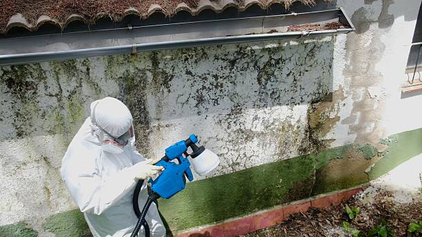 Top rated local Mold Remediation specialists in Oakland Mills, PA